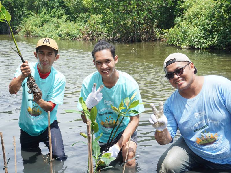 lokasi penanaman pt pasifik satelit nusantara