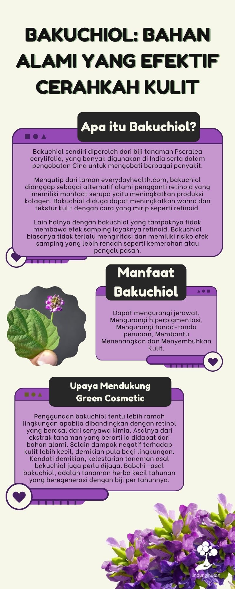 Infografis bakuchiol.