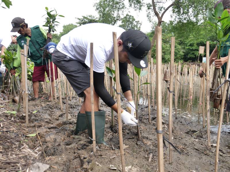 Penanaman mangrove di PIK Jakarta Utara