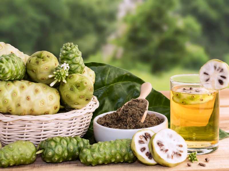 Buah mengkudu bisa dimakan.