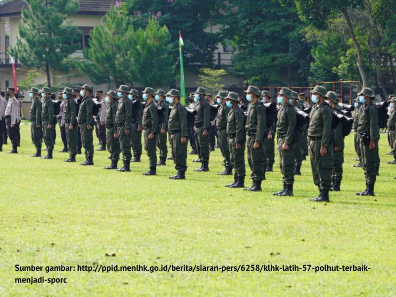 Gambar polisi hutan Indonesia.