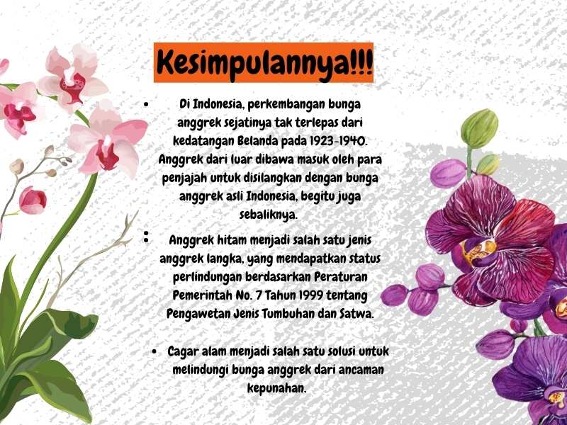 Penjelasan dari bunga anggrek langka.