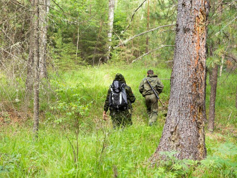 Tugas dan wewenang polisi hutan.