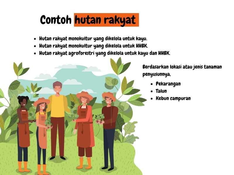 Contoh hutan rakyat.
