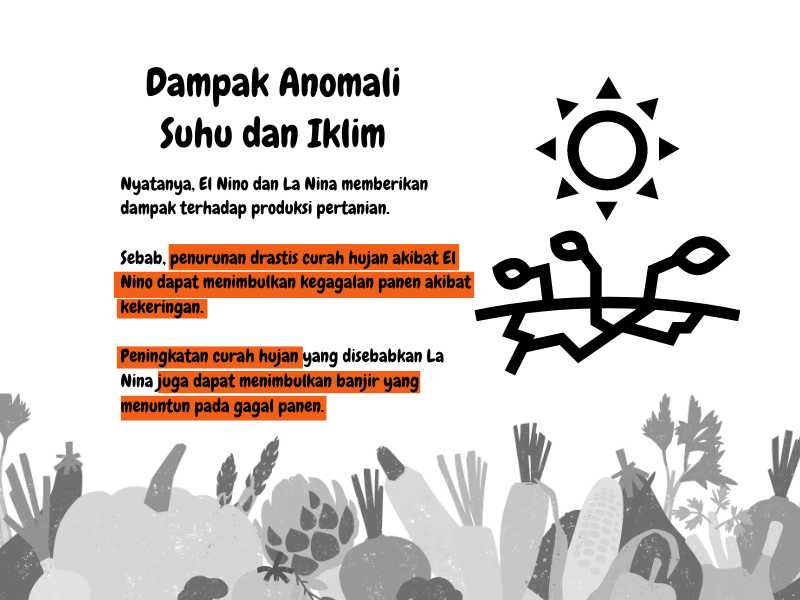 Akibat anomali iklim.