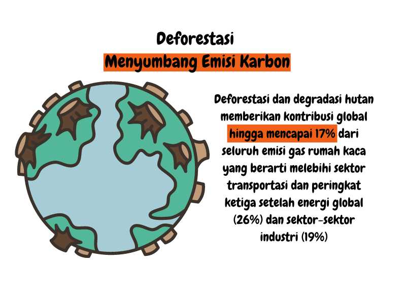 Bahaya deforestasi.