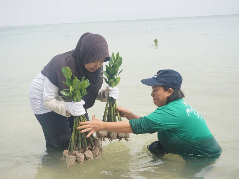 Aksi penghijauan di Pulau Pari