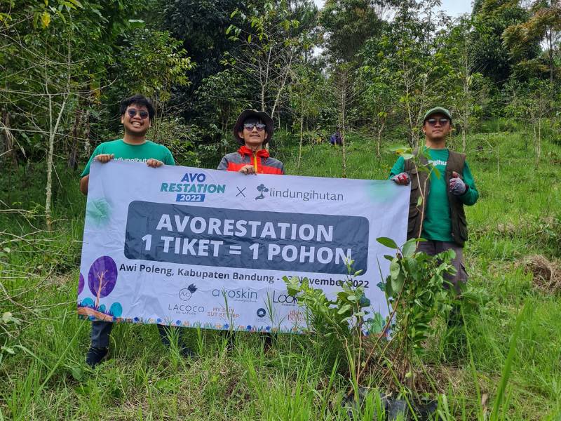 avoskin menghijaukan awi poleng