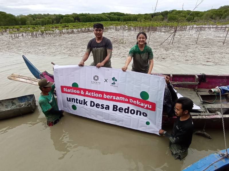 aksi penghijauan dekayu