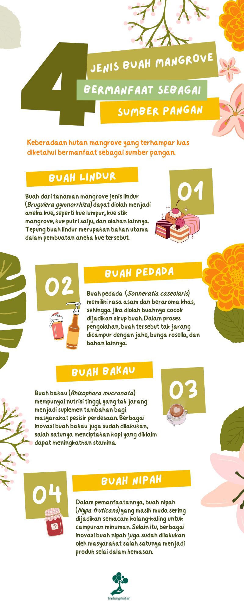 Infografis buah mangrove