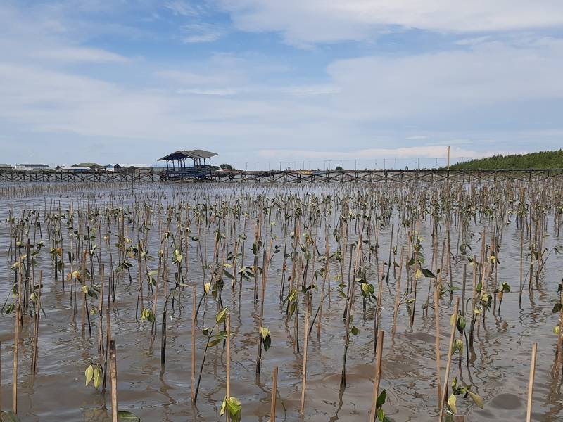 Kondisi lokasi di Pesisir Untia Makassar