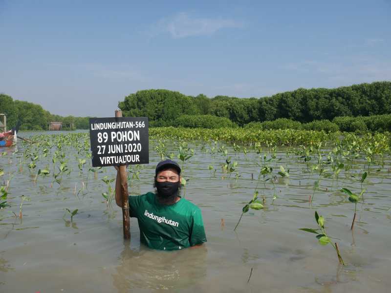 CEO LindungiHutan