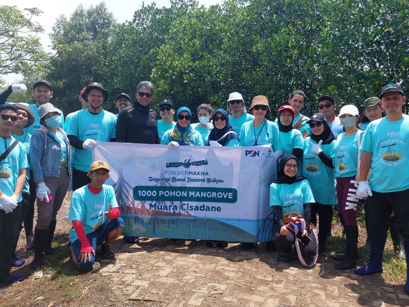 PT Pasifik Satelit Nusantara