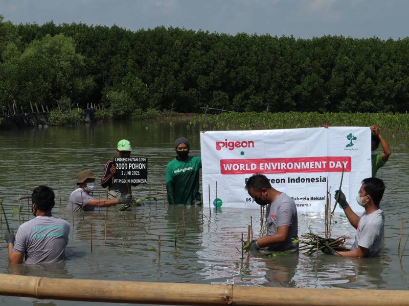 PT Pigeon Indonesia lakukan penghijauan lingkungan