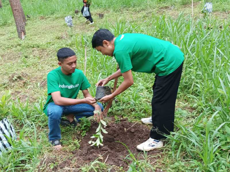 Penanaman di Hutan Desa Kembang.