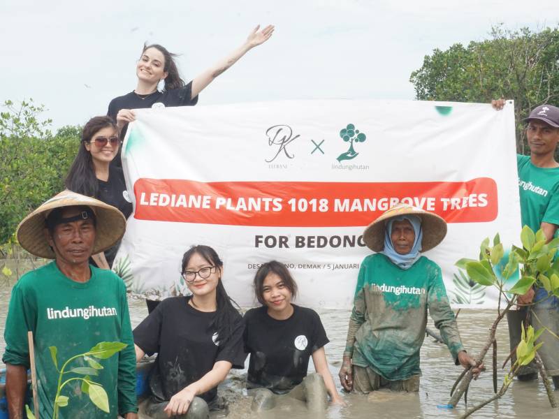 Penanaman mangrove lediane