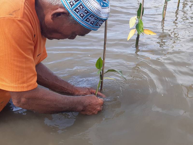 Penanaman mangrove oleh aizen beauty care