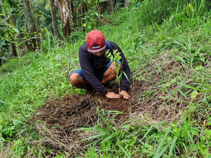 Penghijauan kawasan awi poleng