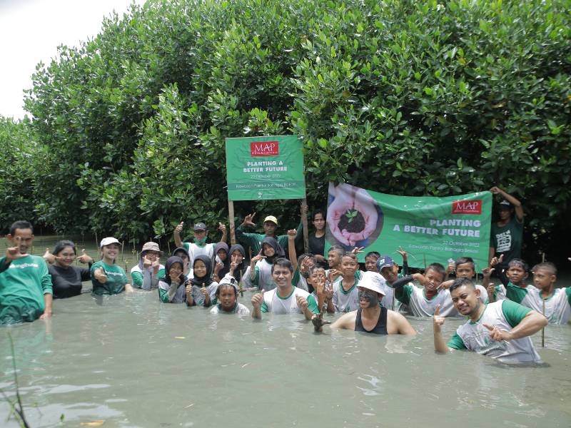 penanaman mangrove PT Mitra Adiperkasa