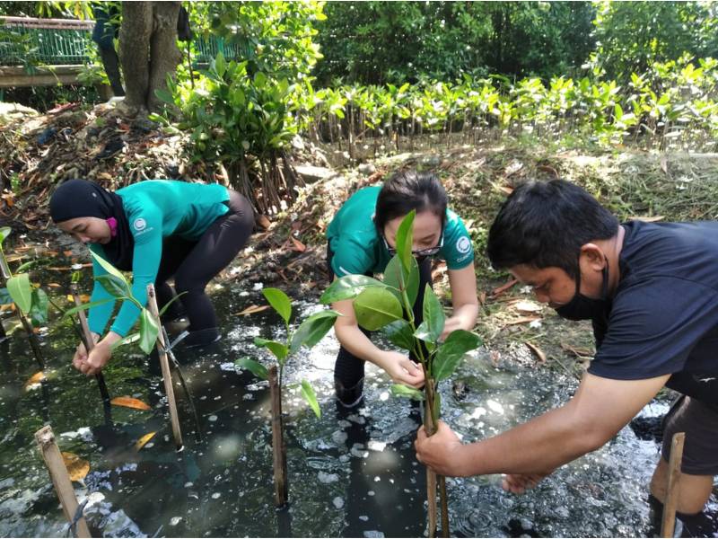 Aksi penghijauan oleh CoreNation