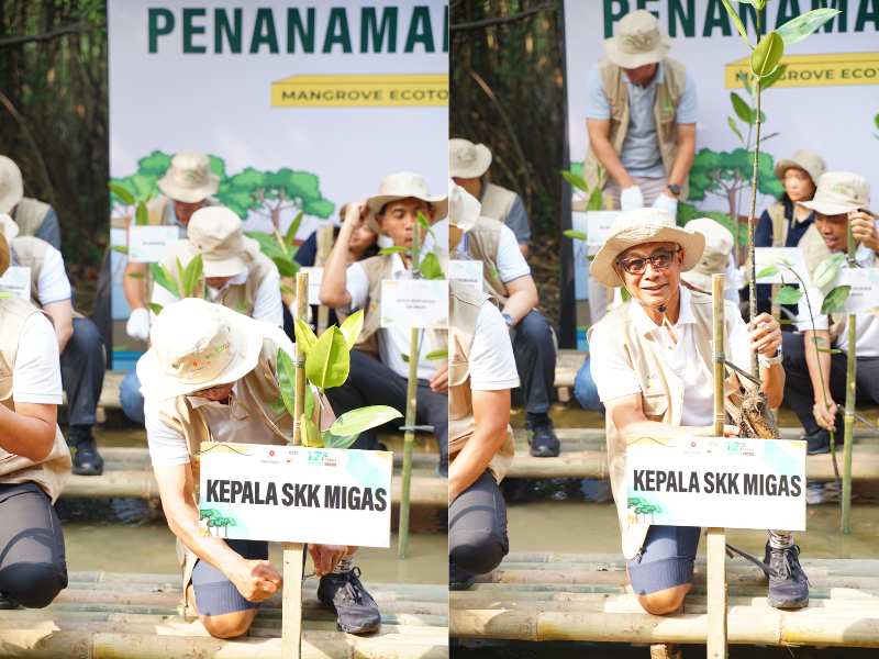 Kepala SKK Migas melakukan penanaman mangrove