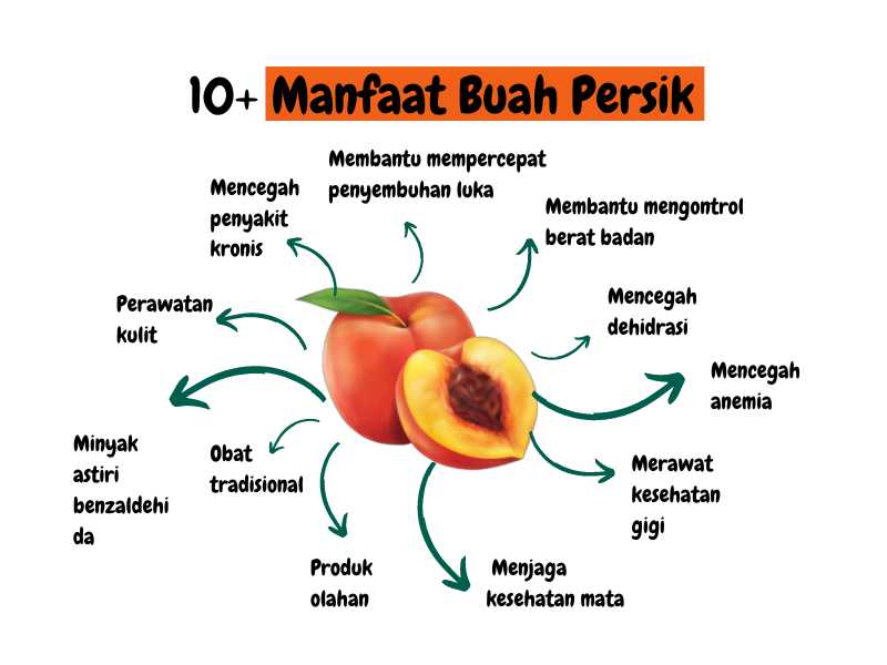 Manfaat buah persik