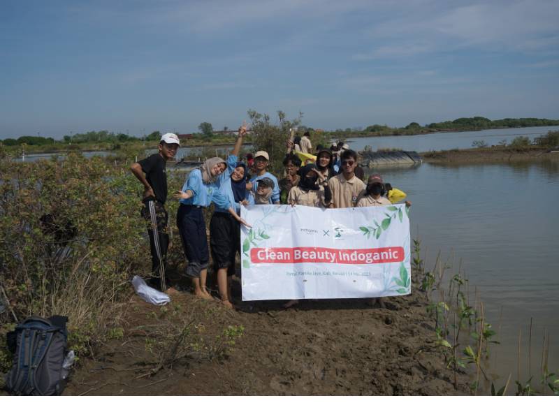 Merek skincare Indoganic beauty tanam mangrove di Kendal