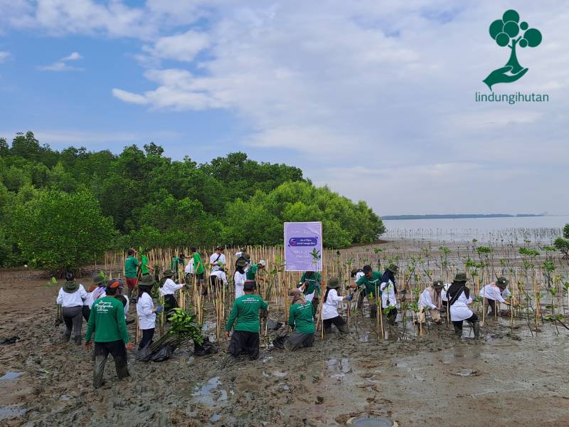 Oriflame Indonesia lakukan penanaman di Kota Makassar