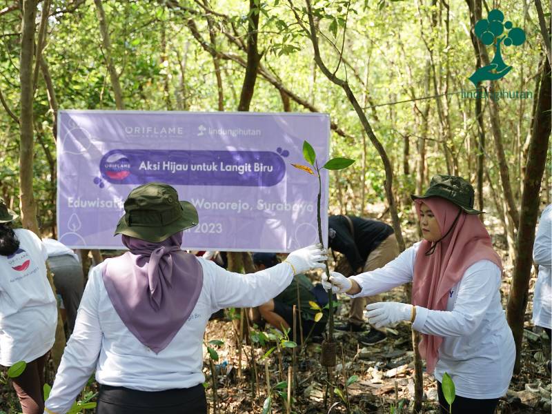 Oriflame Indonesia tanam mangrove di Surabaya