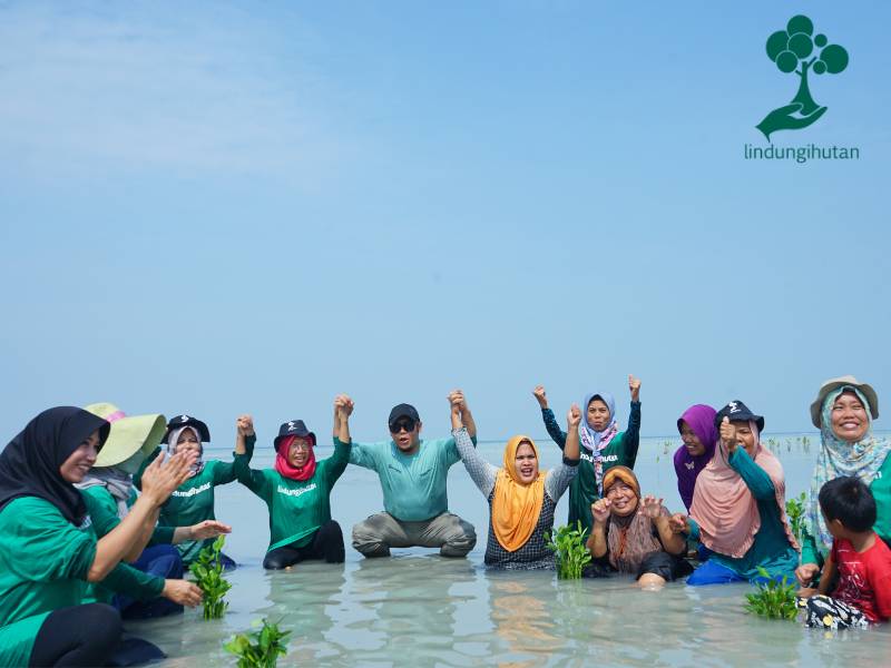 PT Bina Pertiwi tanam mangrove di Pulau Pari bersama mitra penggerak