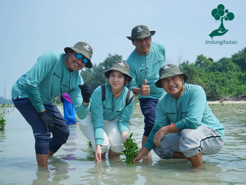 PT Bina Pertiwi tanam mangrove di Pulau Pari