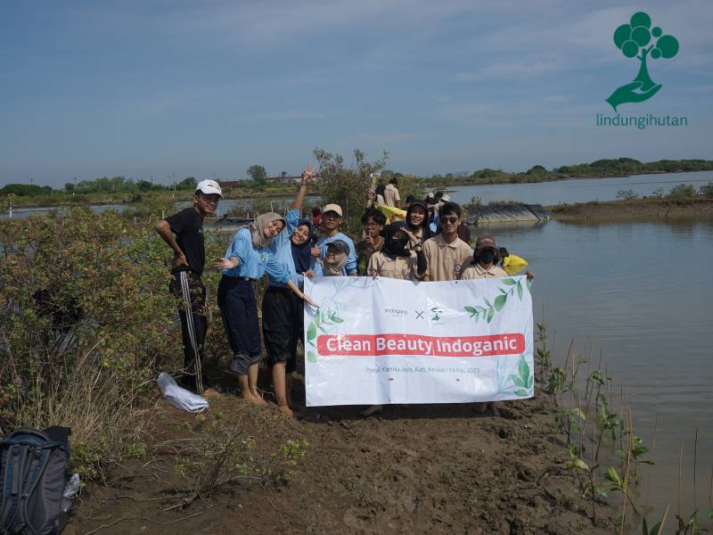 Indoganic Beauty tanam mangrove di Kendal