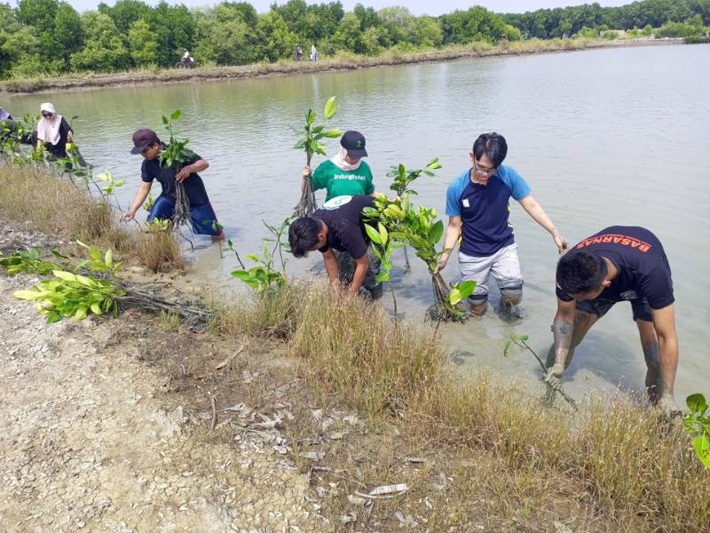 Penanaman mangrove tim Asrama ITB dengan LindungiHutan