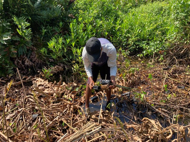 Penanaman mangrove oleh Littlemonq