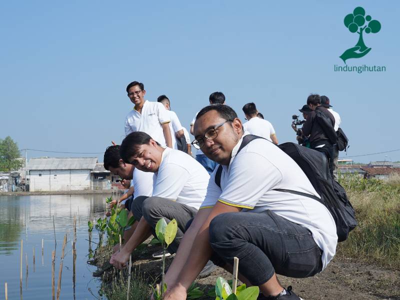 Penanaman mangrove oleh tim Maybank Finance