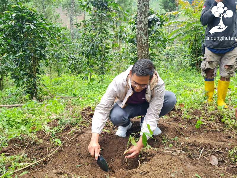 BenihBaik tanam pohon