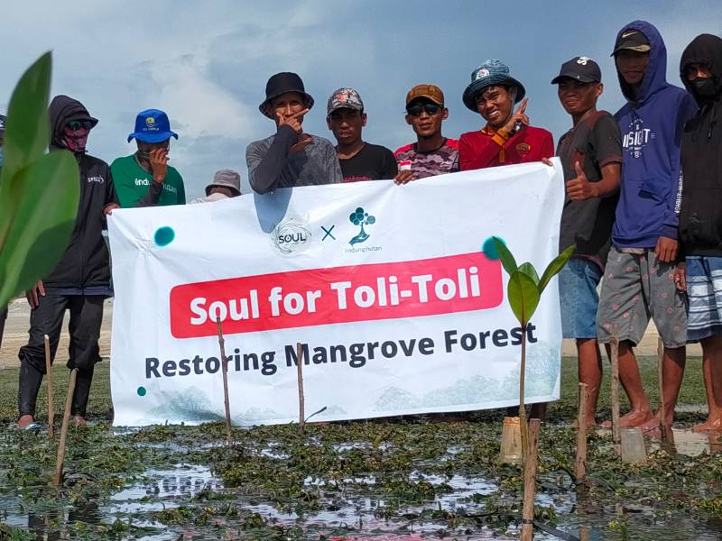 Soul for Earth tanam mangrove di Pesisir Ogotua