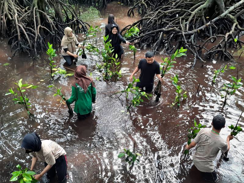 Tanam mangrove bersama di Bontang Mangrove Park