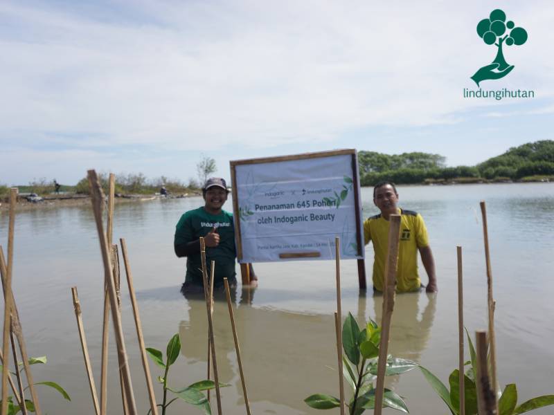 Indoganic Beauty lakukan penghijauan di Kendal