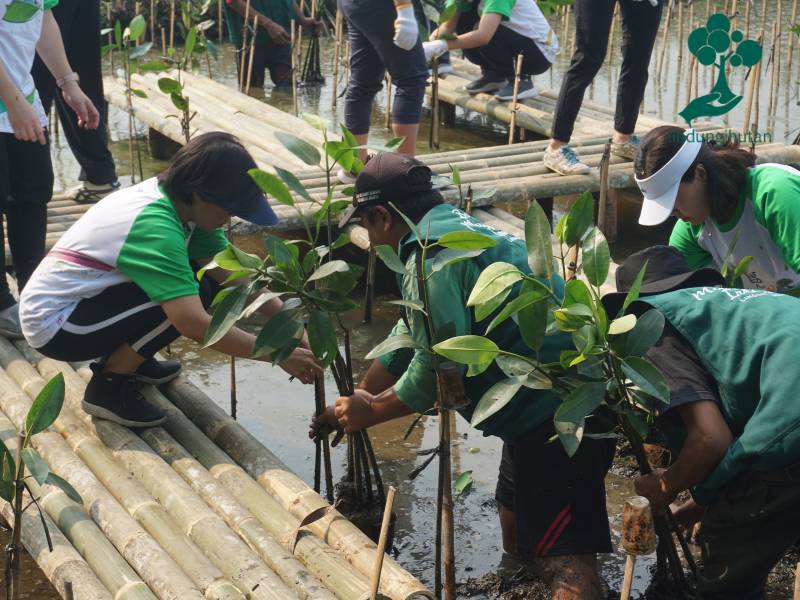 Aksi penghijauan BAF di PIK