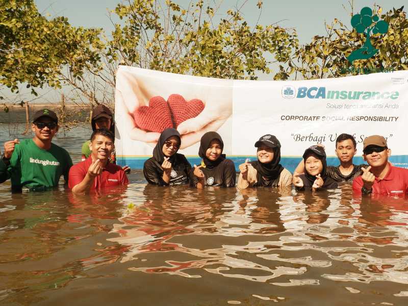 BCAinsurance menanam mangrove