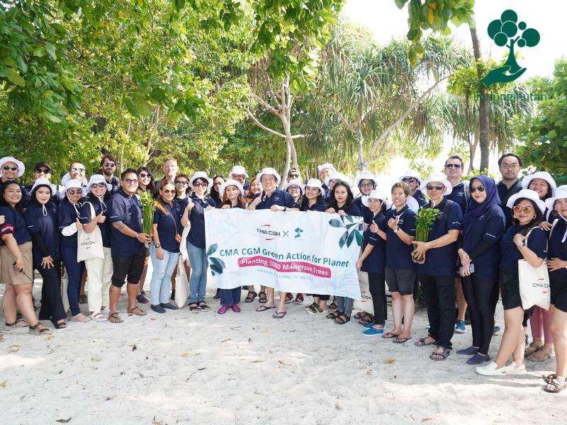 CMA CGM tanam mangrove di Pulau Pari