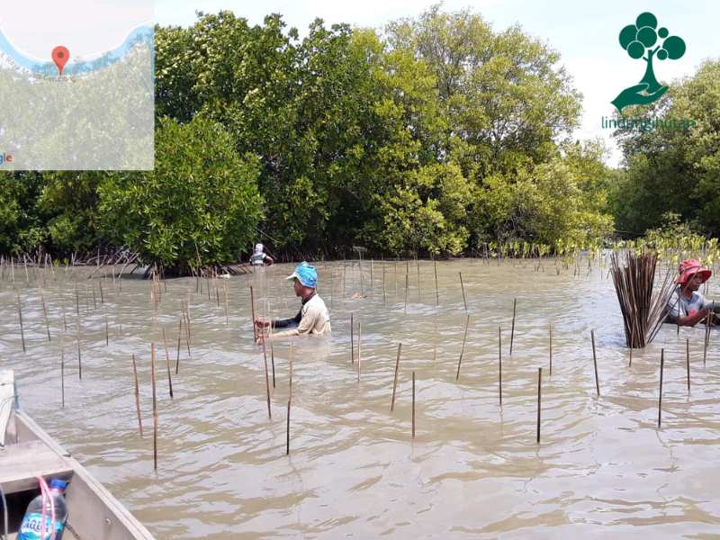 Penanaman mangrove PAMA Persada