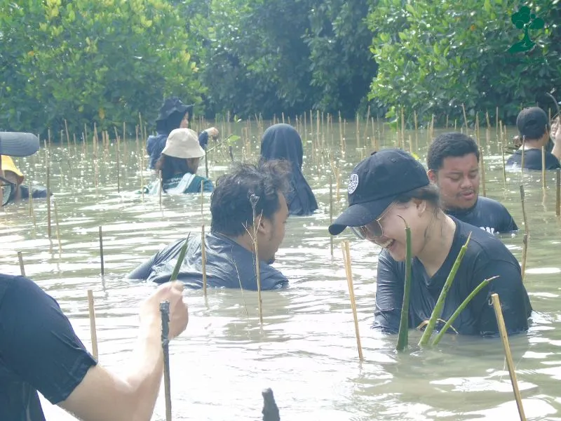 Hafizah Ghazali Menanam Mangrove