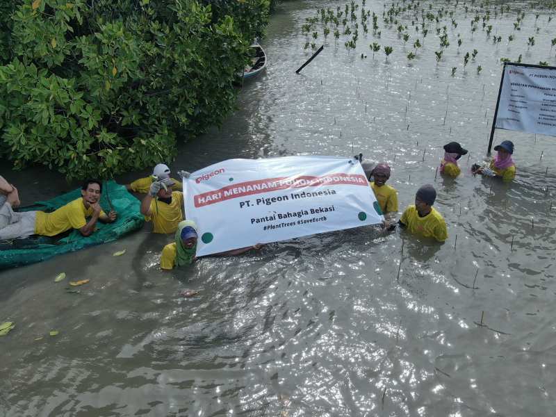 PT Pigeon Indonesia menanam mangrove