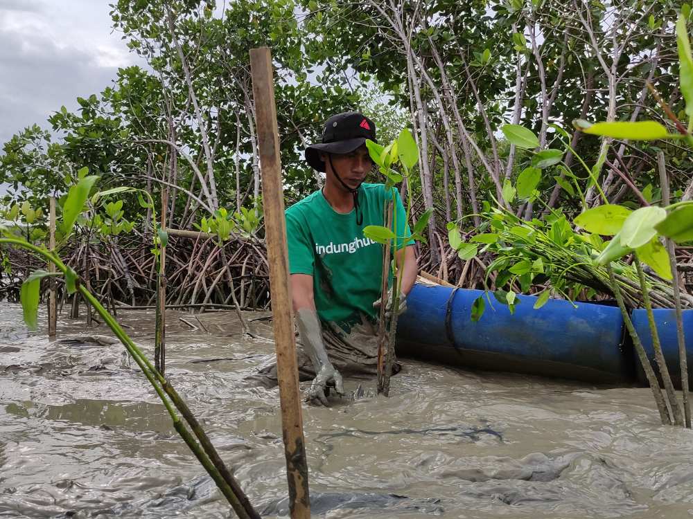Penanaman 1000 Pohon oleh Bank DBS Indonesia & BNP Paribas Sri Kehati