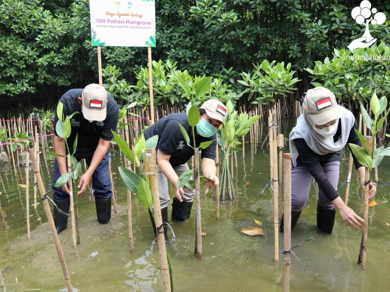 Penanaman mangrove Bank Mega Syariah