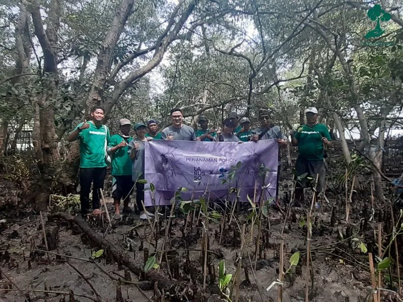 Penanaman mangrove Larusso Group