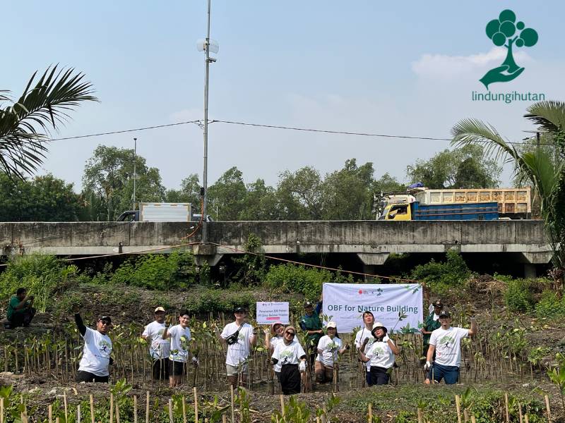 Penanaman mangrove PT Orico Balimor Finance