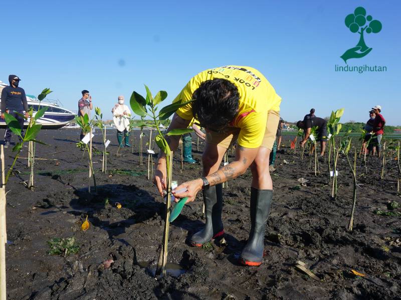 Penanaman mangrove Watsons Indonesia